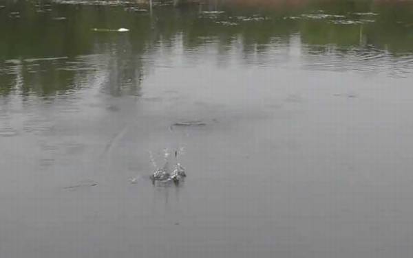 早春雨天可以钓鱼吗?