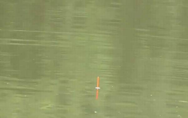 早春寒潮可以钓鱼吗?