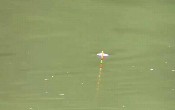 早春寒潮可以钓鱼吗?