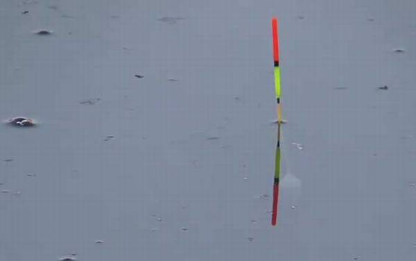 早春有雾好钓鱼吗?