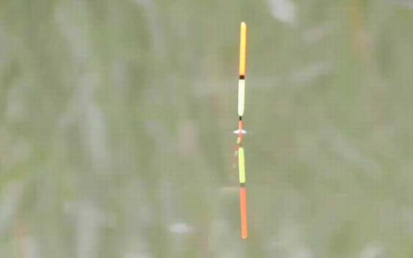 早春阴天好钓鱼吗?