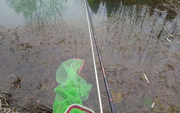 初春钓鱼最佳气温多少度?