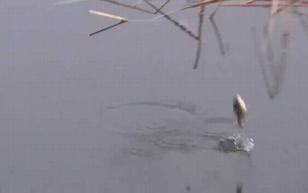 �紺���������Ϊ�ã�