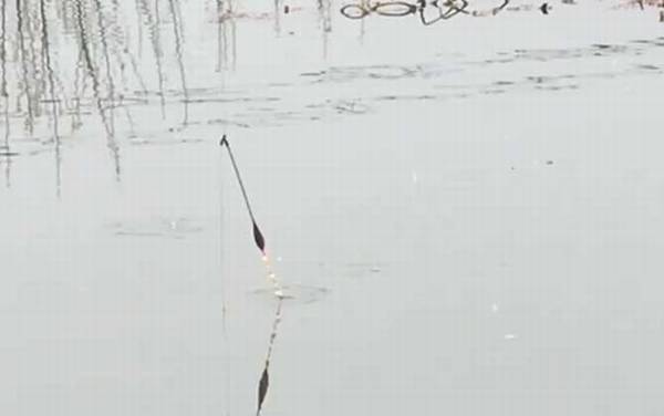 开春后什么时候好钓鱼?