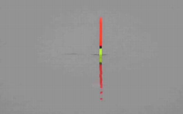 春天钓鱼怎么调漂?