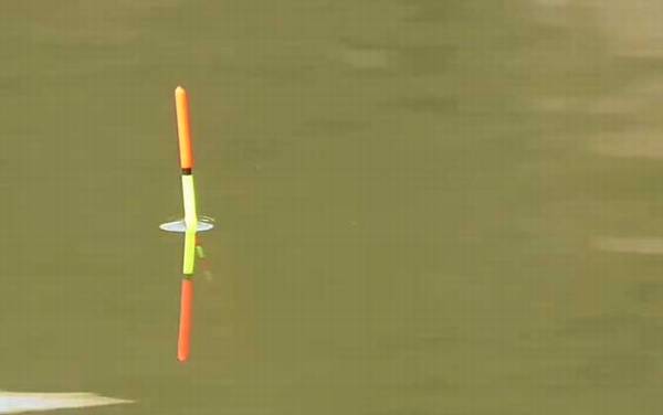 春季降温能钓鱼吗?