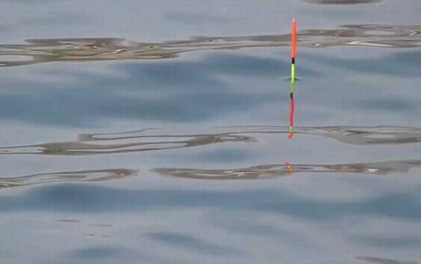 开春后什么时候好钓鱼?