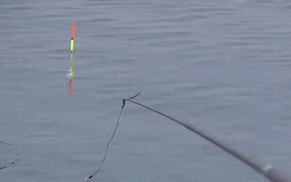 春季什么时间钓鱼最好?