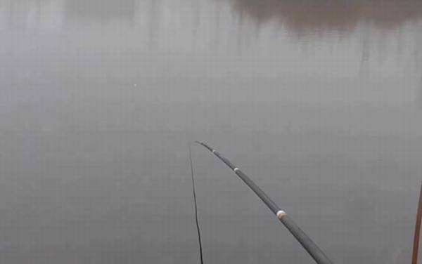 春季什么时间钓鱼最好?