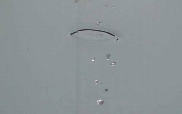 春季雨前好钓鱼吗?