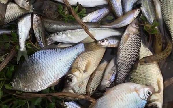 春季钓鱼水深多少合适?