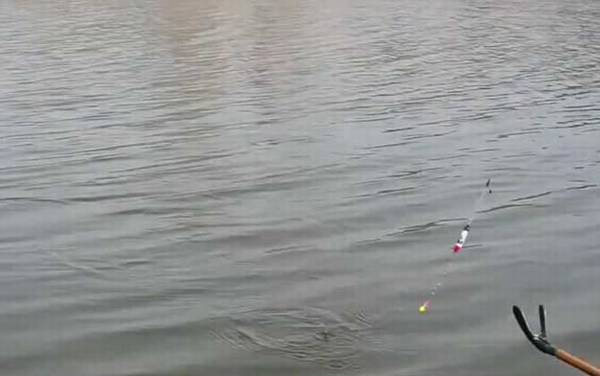 春季气压多少适合钓鱼?