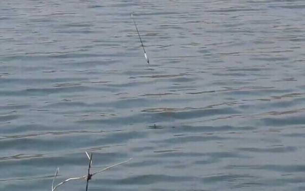 春季钓鱼选择什么位置最好?