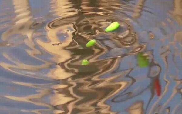 春季钓鱼钓边还是钓中间?