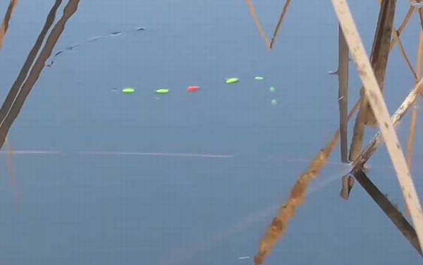 一月份钓鱼最好是几点?