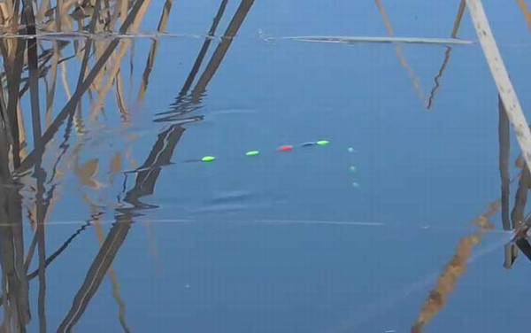 二月钓鱼最佳时间是什么时候?