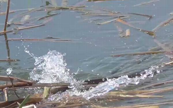 二月钓鱼钓深还是钓浅?