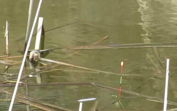 二月份钓鱼钓边还是钓中间?