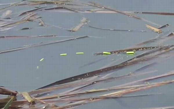 二月份钓鱼什么时间段好?