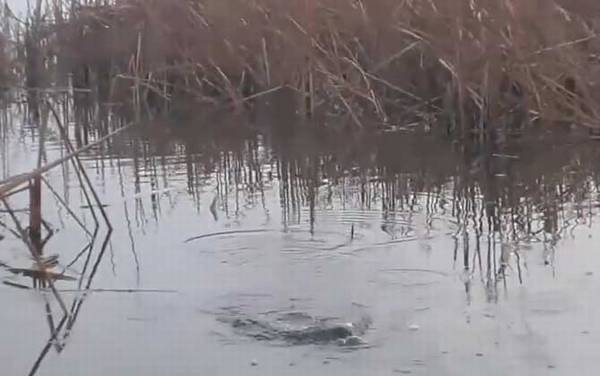 二月份钓鱼什么时间段好?