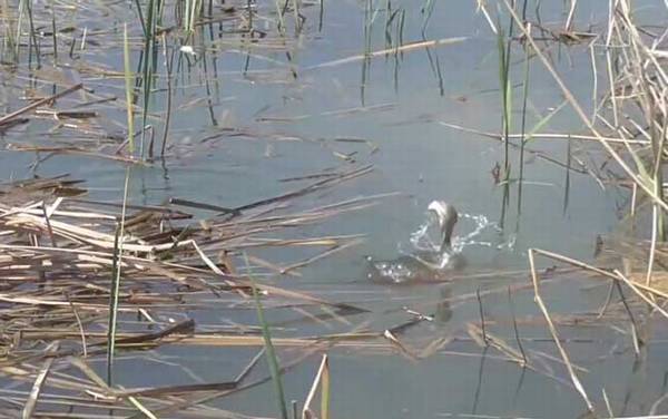 二月份雨天怎么钓鱼?