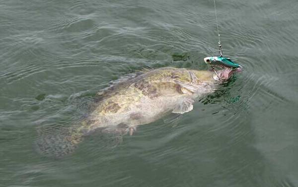 ������ķ����ͼ���