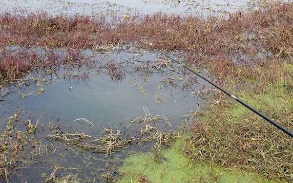 手竿传统钓鱼技巧及注意事项