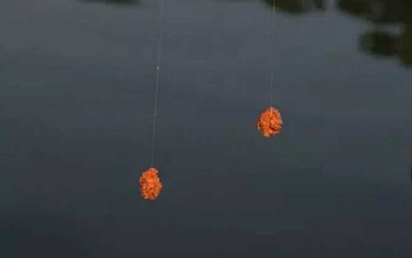 台钓线组搭配有哪些技巧?