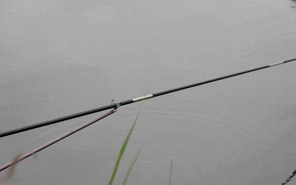 夏天野钓技巧及注意事项