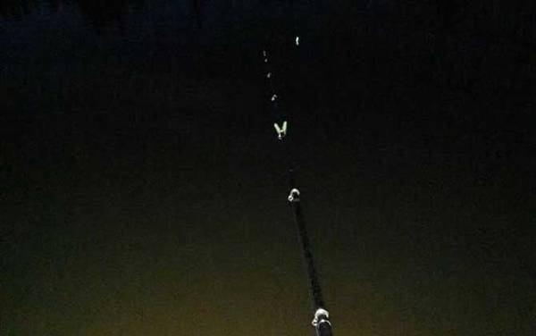 夜钓鲫鱼技巧及注意事项