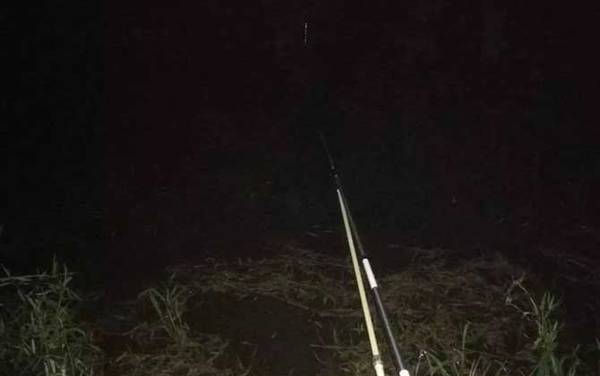 夜钓草鱼怎么钓上鱼快?