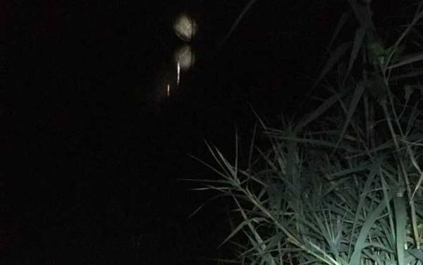 夜钓草鱼怎么钓上鱼快?