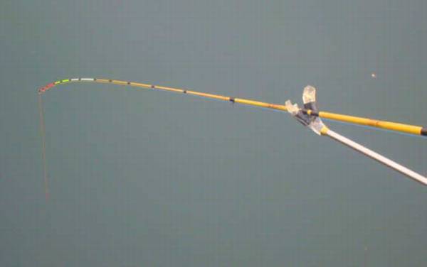 筏钓正确钓法及注意事项