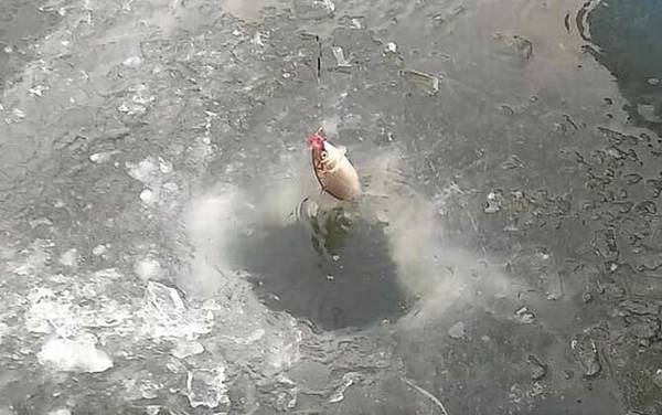 冰钓怎么调漂效果最好?