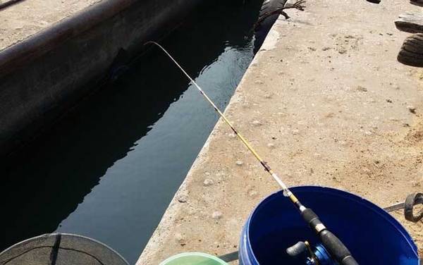 筏钓翘嘴绝招及注意事项