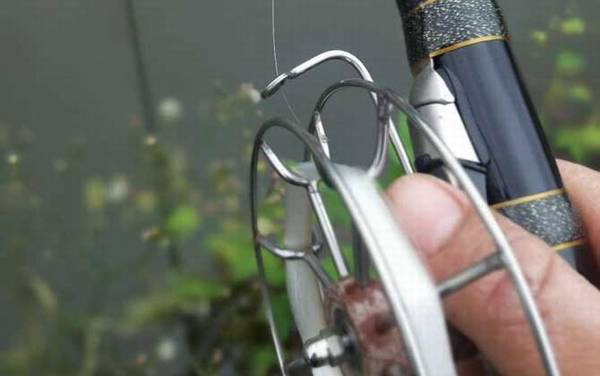 谷麦钓法绝招及注意事项