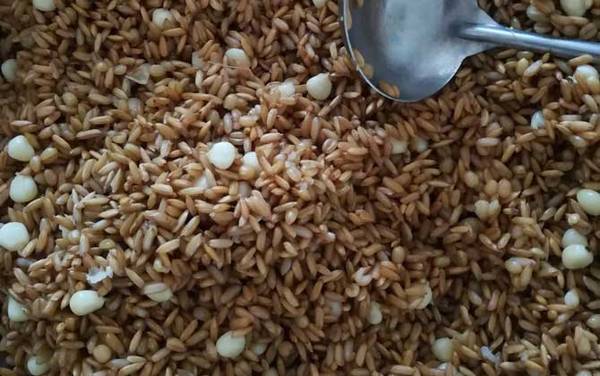 谷麦钓法逗钓教学及注意事项