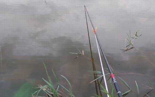 钓鱼新手入门基础知识