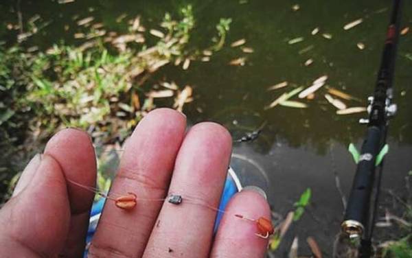 夏天钓鱼技巧及饵料配方