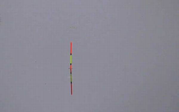 拉饵调漂的正确方法