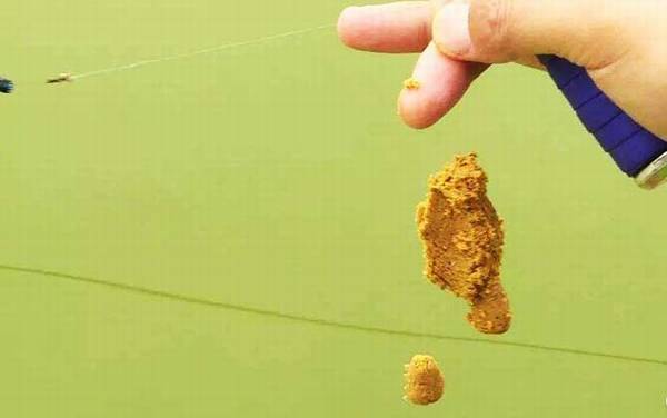 搓饵多长时间换一次饵?