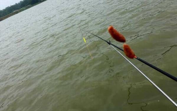 搓饵钓鱼一般多久提竿?