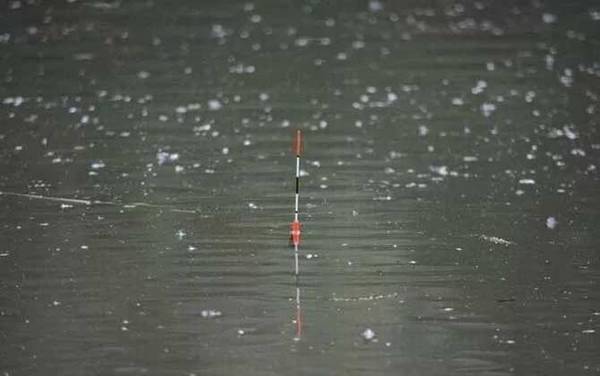 鲫鱼18种漂相是哪18种?