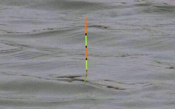 钓鱼怎样看漂提竿最佳?