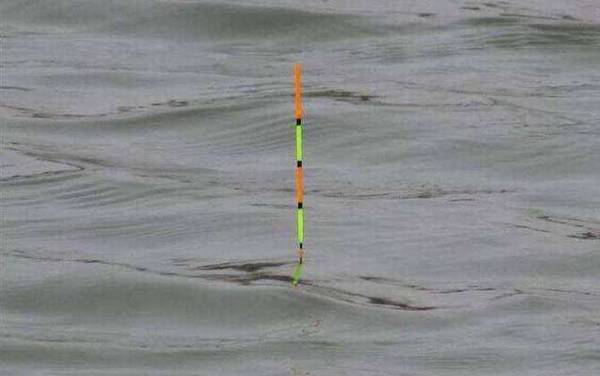 商品饵料钓鱼怎么看漂相?