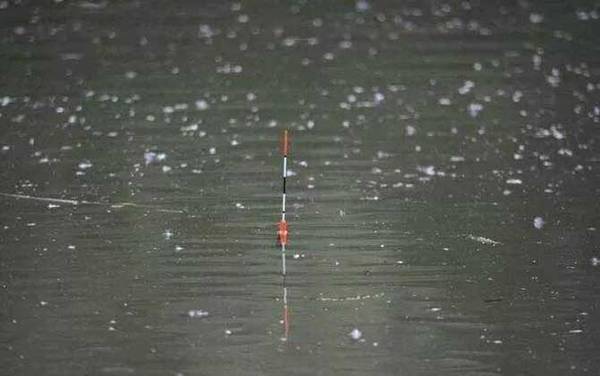 钓罗非鱼什么漂相提竿?