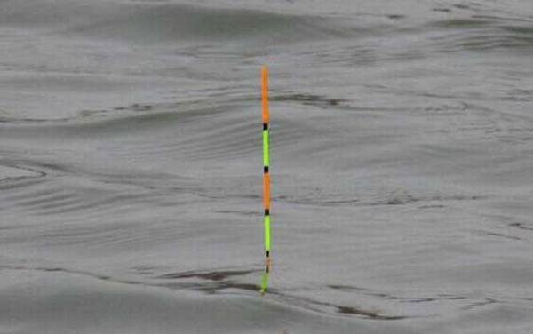 浮漂怎么动才知道上鱼了?