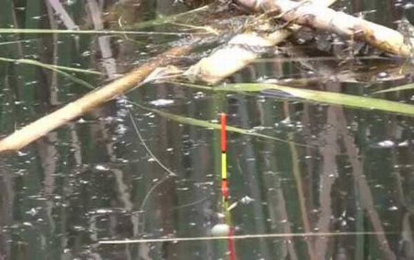 跑铅钓法有几种漂相?