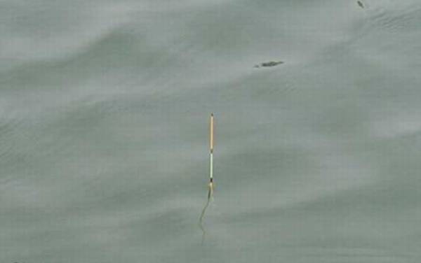 跑铅钓法有几种漂相?