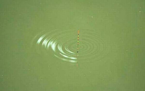 钓鱼什么漂相可扬竿?